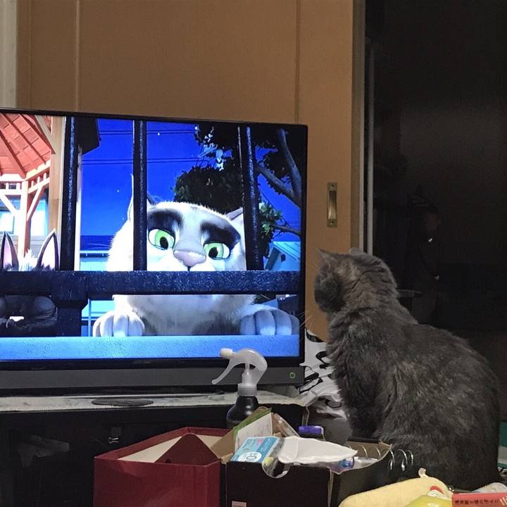 A04d005e 21bd 4efe 8b55 a2adc4253bc9