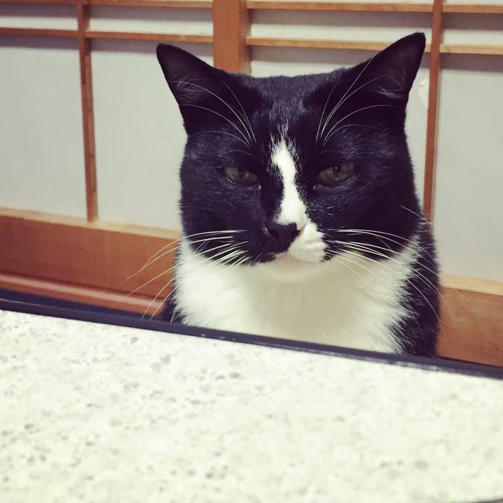 A04de4da e354 446e b45e 519675958e50