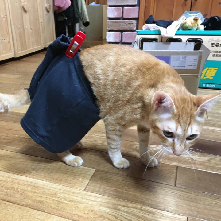 A04dfb17 0735 4a11 981b e5593adacf2b