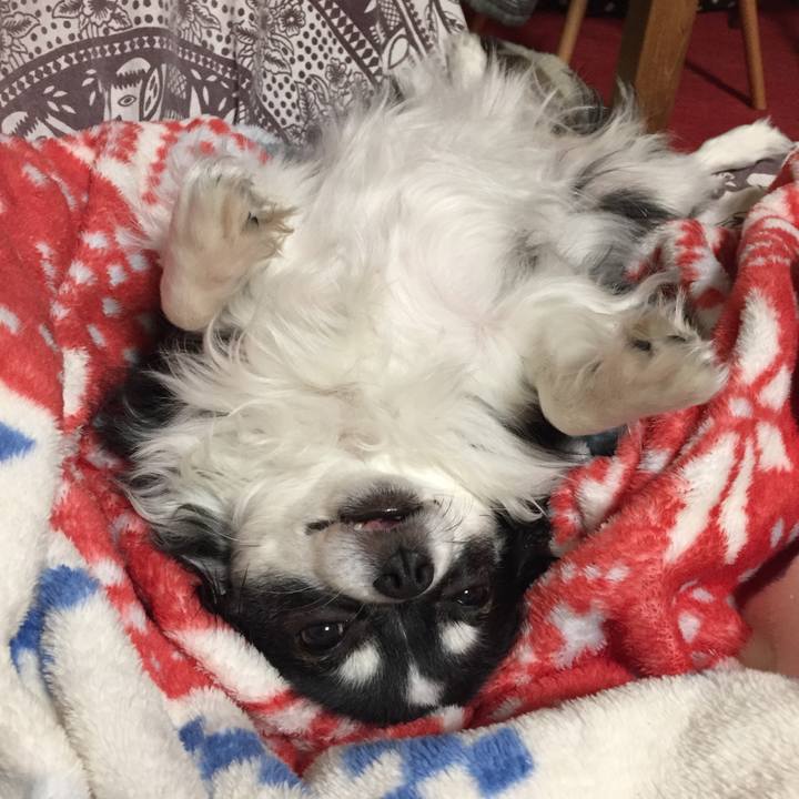 A04e0f3e e9cf 4b96 8d95 e81e63079731