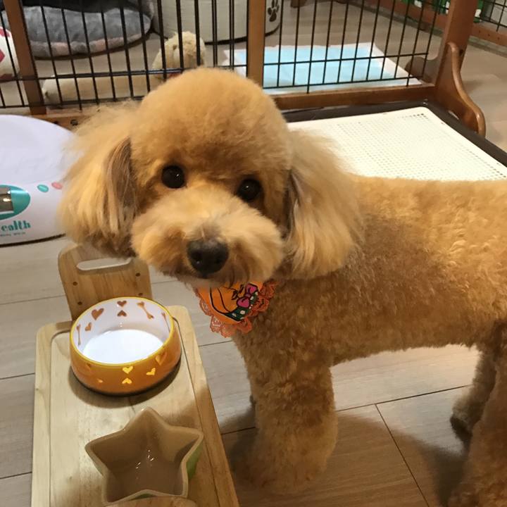 A04e610b d973 4f0b a113 6966c967a0d3