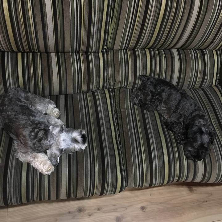 A04ef611 28a4 4f82 a567 cd354dfb6f94