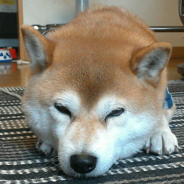 A0503597 bc81 4433 a1b5 0e92fbb4cc01