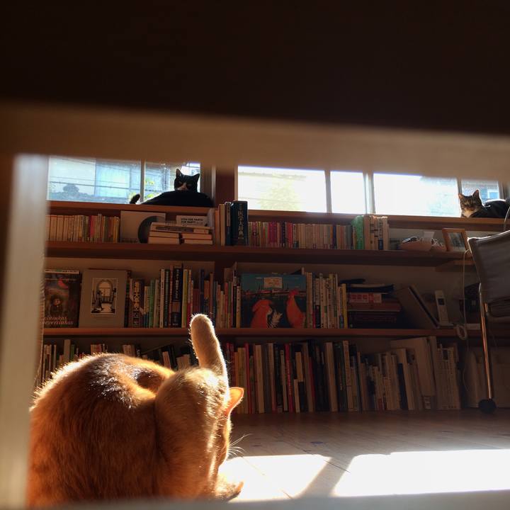 A050b649 4c64 4795 a9f7 71d152ba1b17