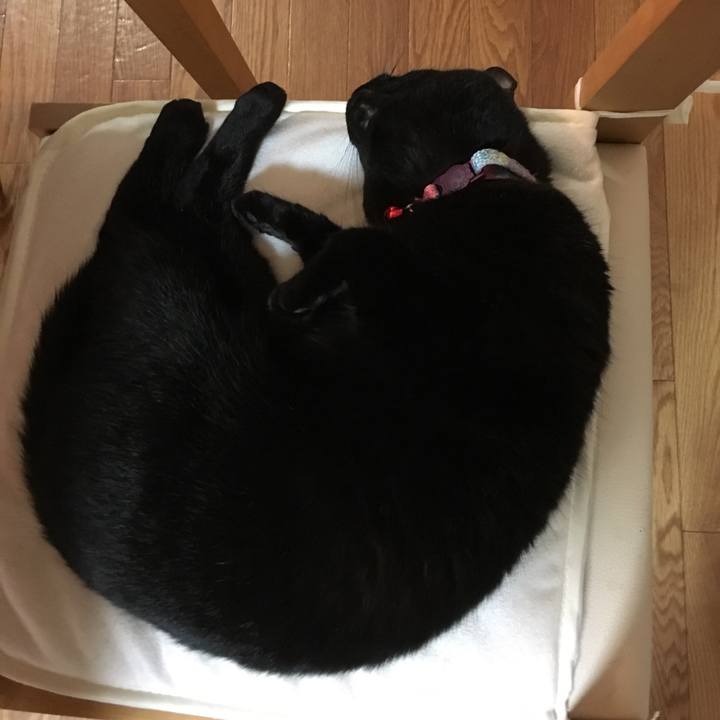 A050c22e 8294 4561 a68e ad82874497b3