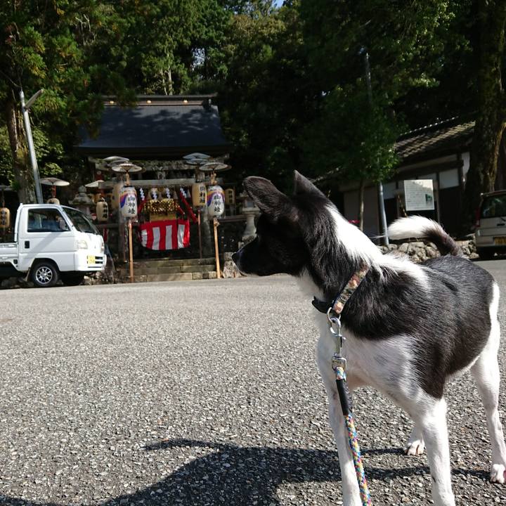 A05106f0 ee71 484c 8a6d 94bf2fe2c464