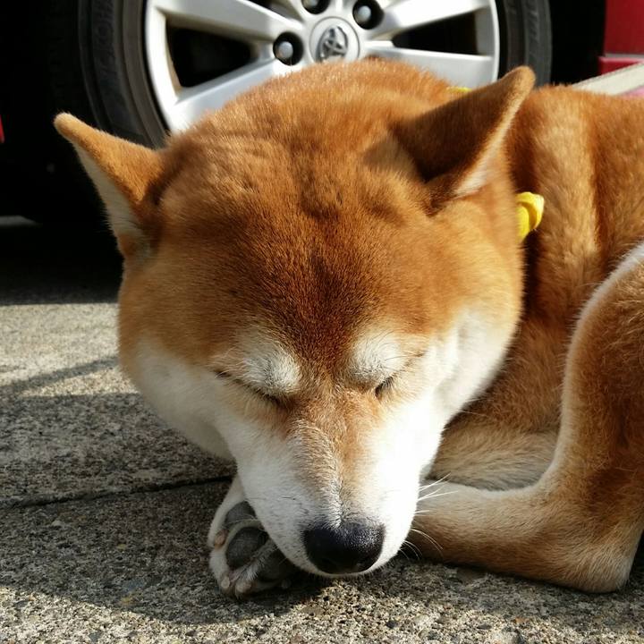 A052e080 ff27 47c2 917b bf5a048bf7ff