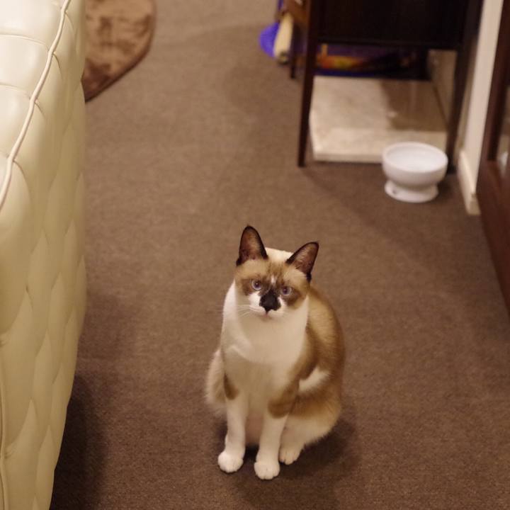 A05316b6 8483 49e3 af14 5f8ab9703cfd