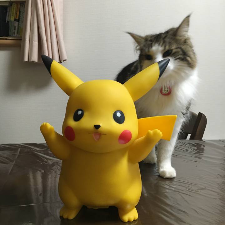 A0531fc5 fbe5 41ad 9b2c 4878170cdad6