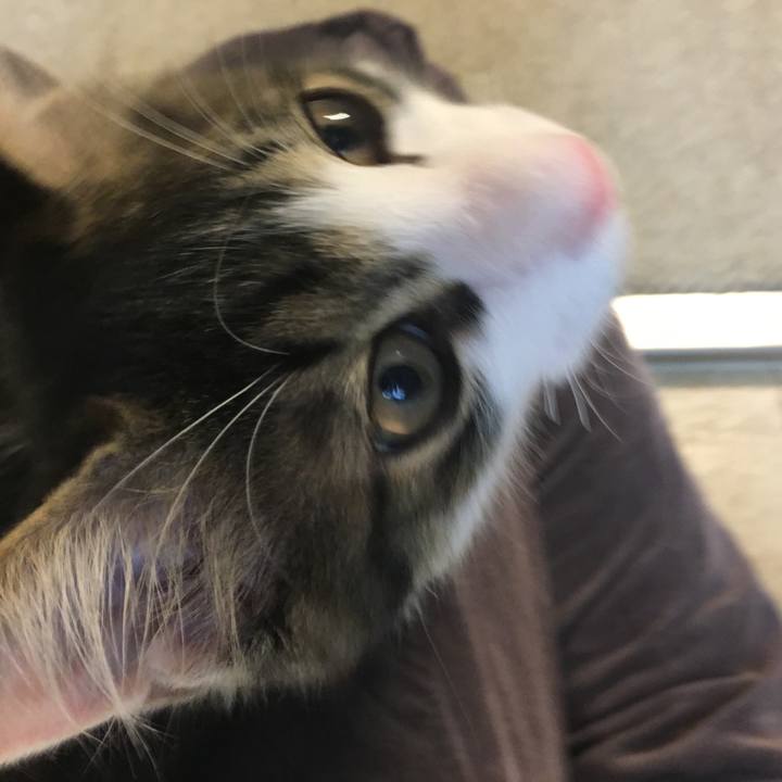 A0539b14 a700 4645 9f34 1ea201eef11d