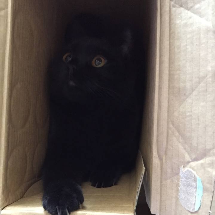 A0539cac 35c8 4e0f 83c9 a717ec22901b