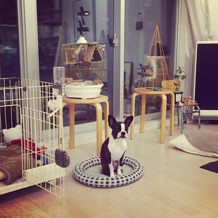 A055eb3f bea3 4609 809e 30c27e4c5132