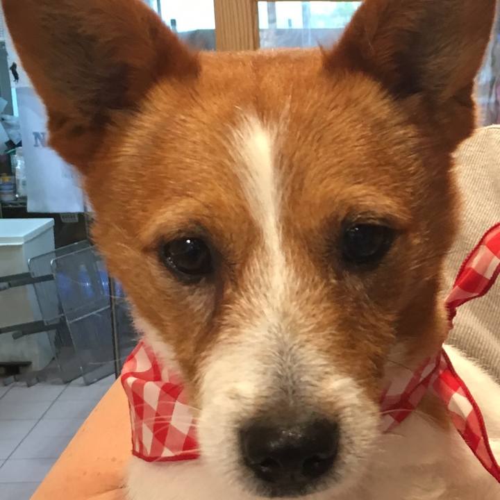 A05635b0 697b 4a5f 8094 f5061c4efefa