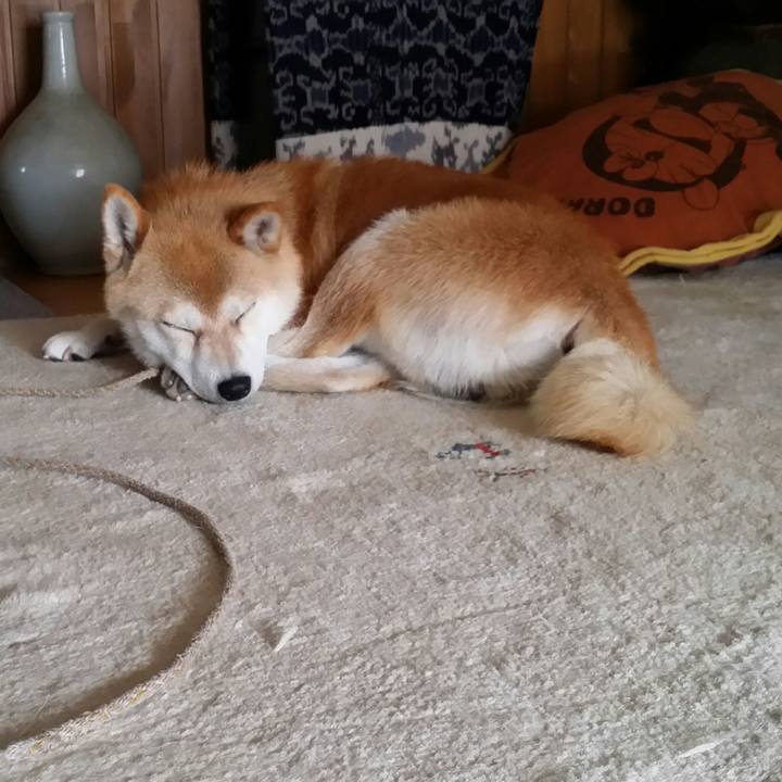 A0571391 86dd 41ea a3da 9cd086d817a2