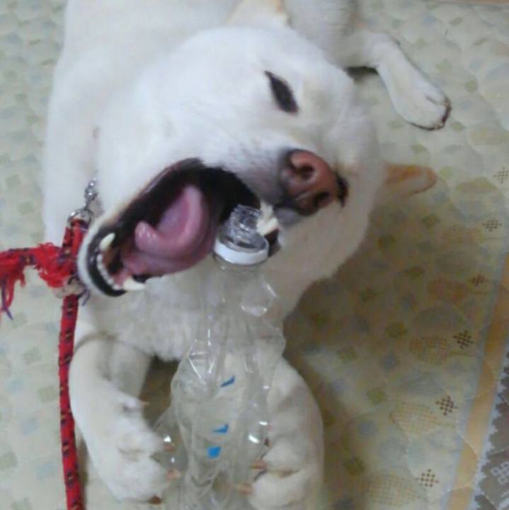 A0576606 1d25 4c1d 9317 7afe7f68cd84