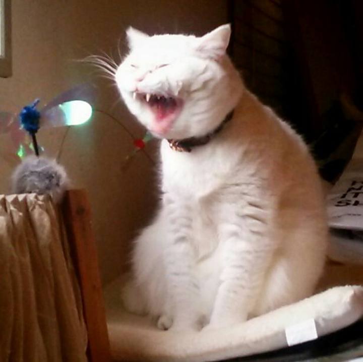 A057ce41 4cee 4084 8cd6 79936ac8d6c6