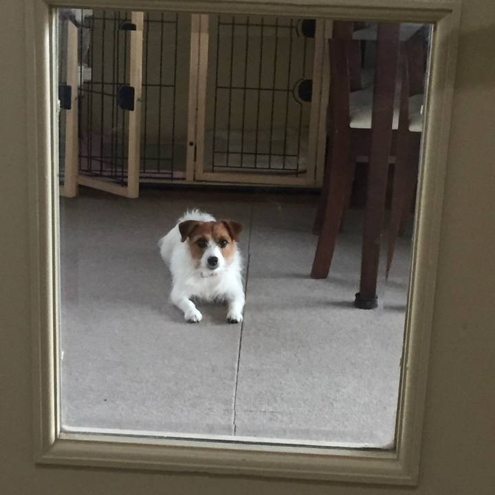 A057de10 fbe3 4aa1 9cf6 19b3e6d09061