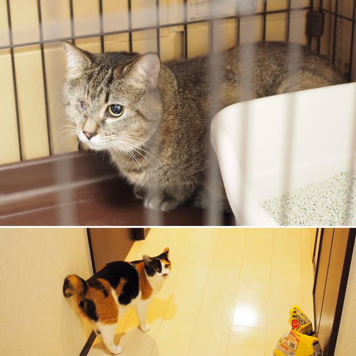 A0581a94 e6f3 41e1 afc0 81346b590789