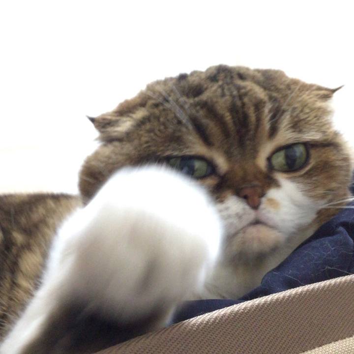 A0585d2e 3c0f 4f60 86cf 8d4e750348b6