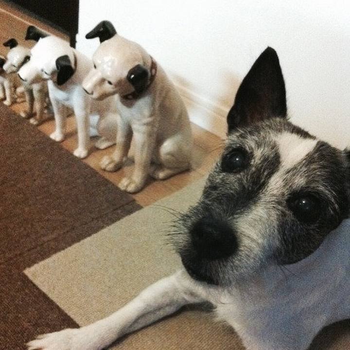 A058615b 848f 4fd3 8df2 75cc2628edc3