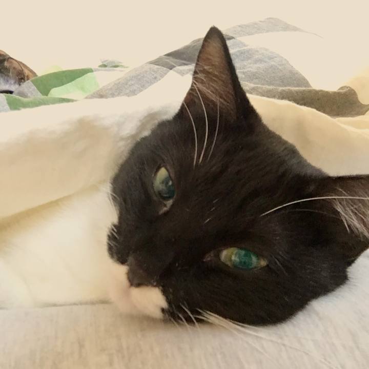 A058c365 67a5 4e50 b1e6 a7cf98c0ad61