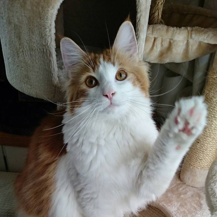 A058e01e b616 4c49 ad5a 102f45d29e78