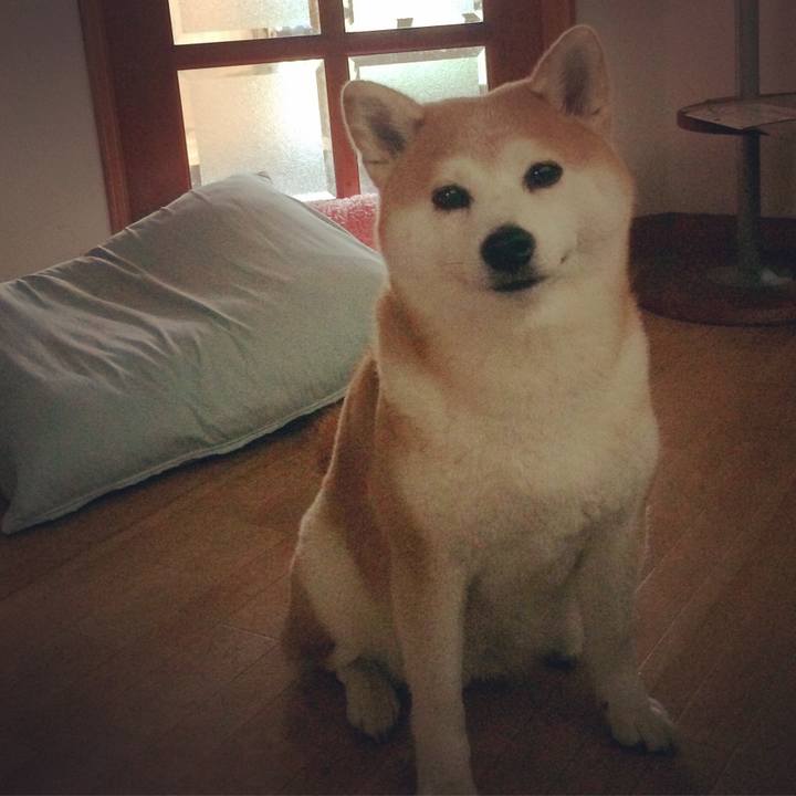 A0592ca2 bc98 4431 a44e aff40333fc65