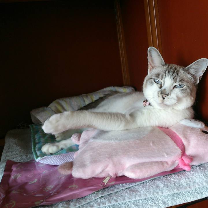 A0597867 f734 4e8c 997c 757c51f8dae1