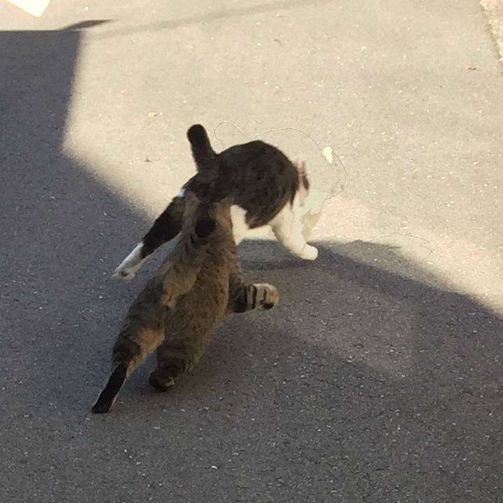 A059f073 886e 40cd 9663 c890f238d0e6