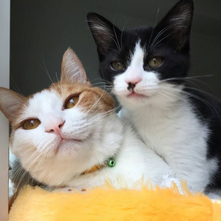 A05ac90e 8284 451e b26b 0b0ef8554c17