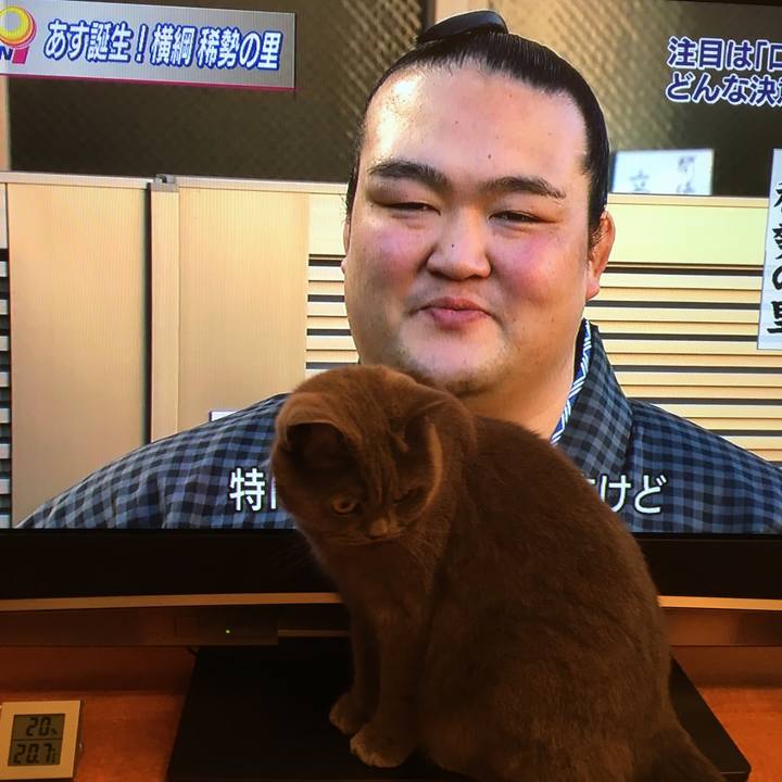 A05ad1ff 7832 4831 bbec d033627eb56a