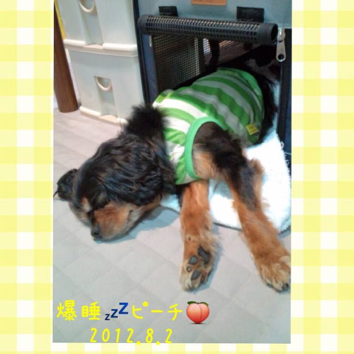 A05afbdd 3650 481f 9353 48328bb5cde6