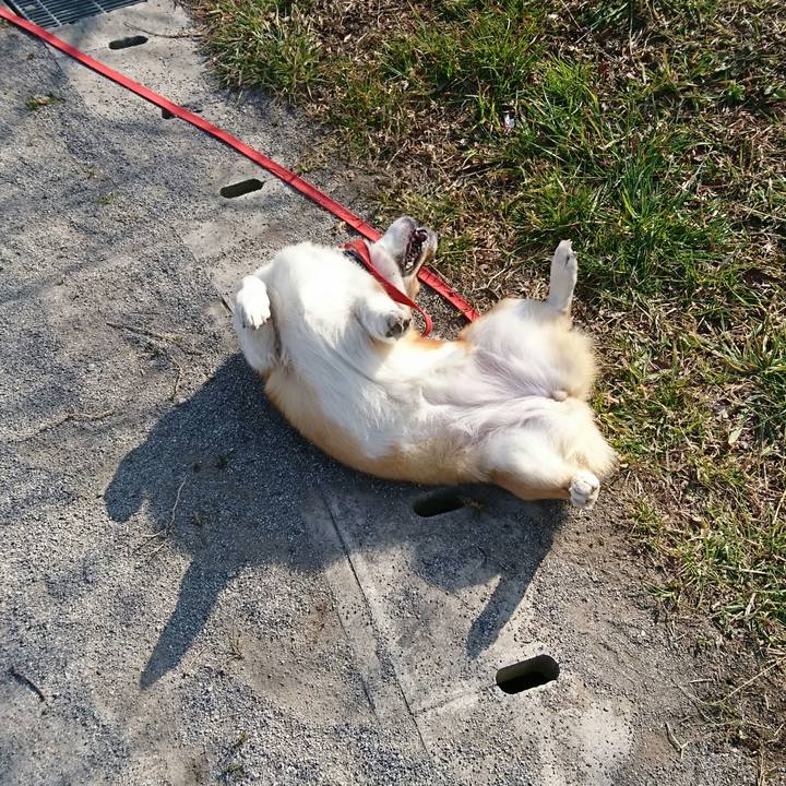 A05c41ba 731b 4701 8562 2f9741913c3d