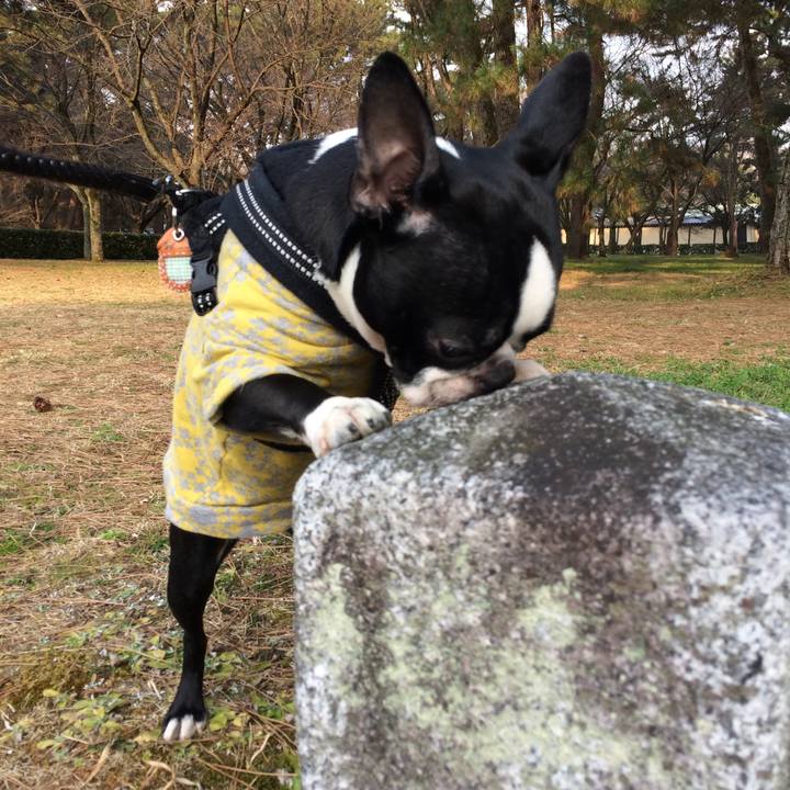 A05c80d4 416e 4db4 b477 2f2d37ec2f1e