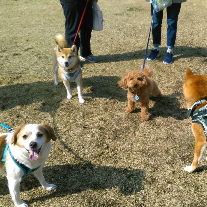 A05ca214 8e3c 4b19 8827 74889a2d3b08