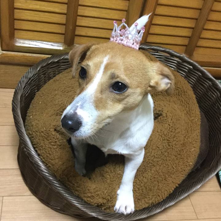 A05e7ed2 bebe 42d2 93da 70865bfdec9a