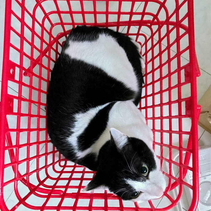 A0601532 aeec 4210 9386 9a192ad4d8a8