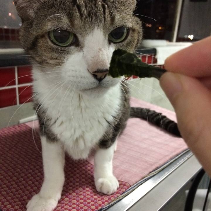 A0606226 806c 4ef9 8fd6 eb0edf7db8d7