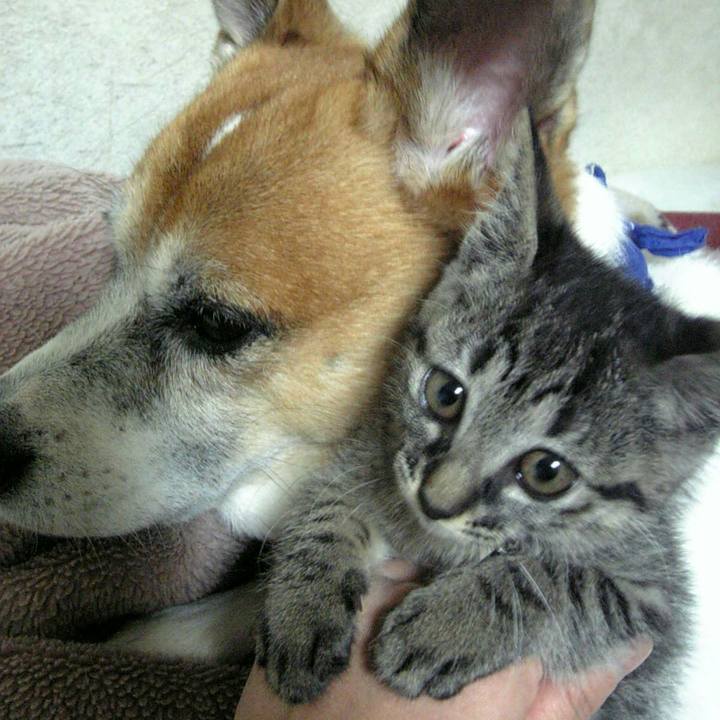 A060e16b 1cf1 4ff0 a66f 3c85e32ed949