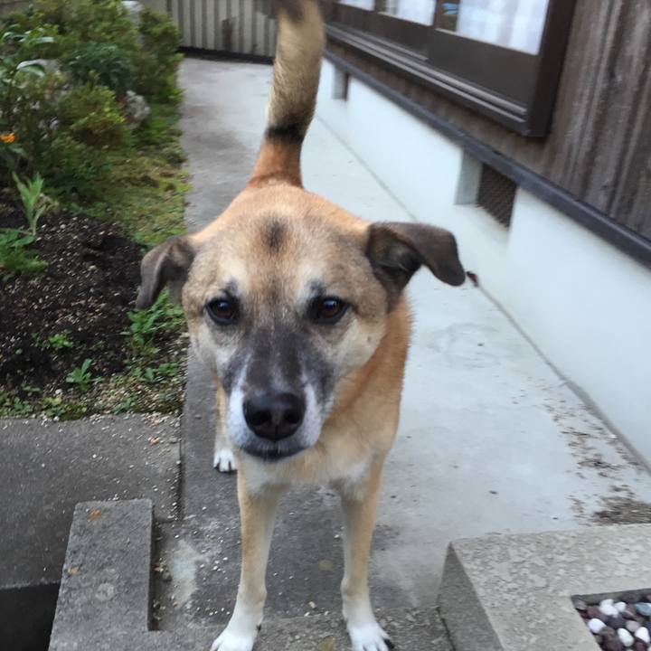 A0610244 fd7f 4b02 95e4 1c3737210328