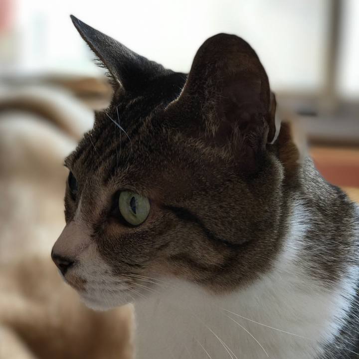 A0615e1f 0c66 488f 8451 c55ae0e39371