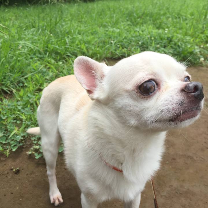 A0616359 d10a 4662 bbfd d52bf3ed8abf