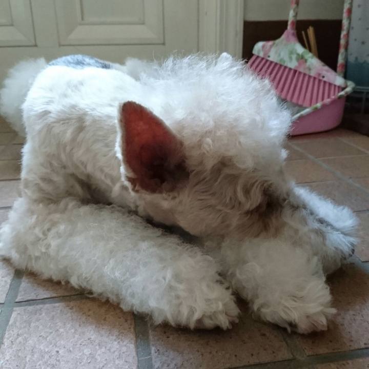 A061bfc0 eafe 48a5 9337 88a047710b2d