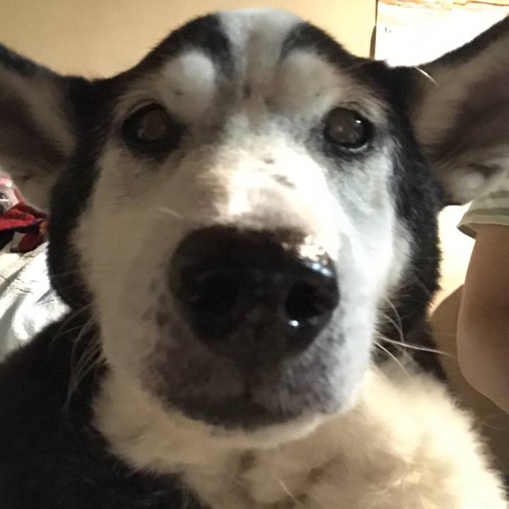 A0632de9 0c3f 449c 9388 3cc473faf962