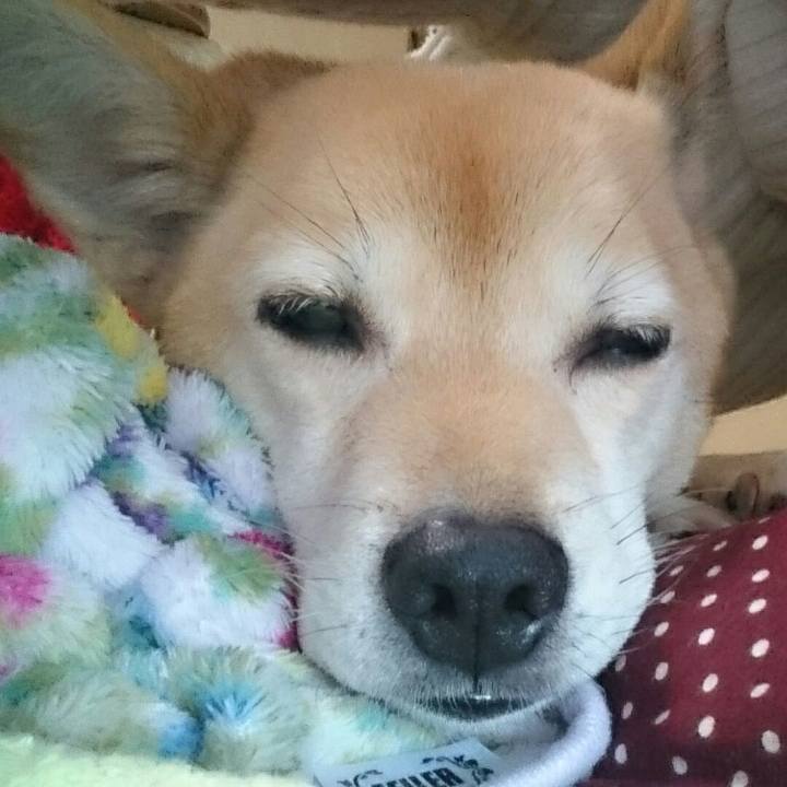 A0641657 751e 4b64 819f e799ce1661ed