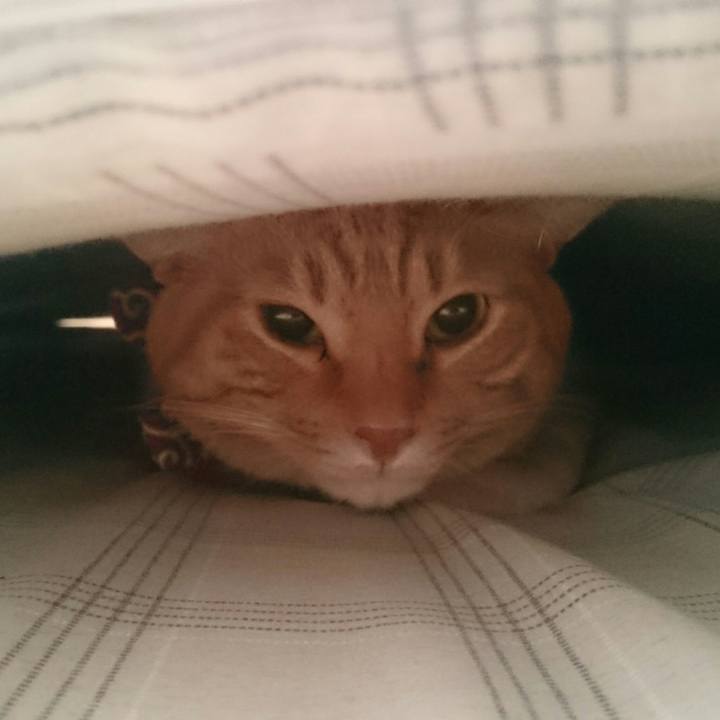 A06441b0 4048 446d b249 bc260b1160d7