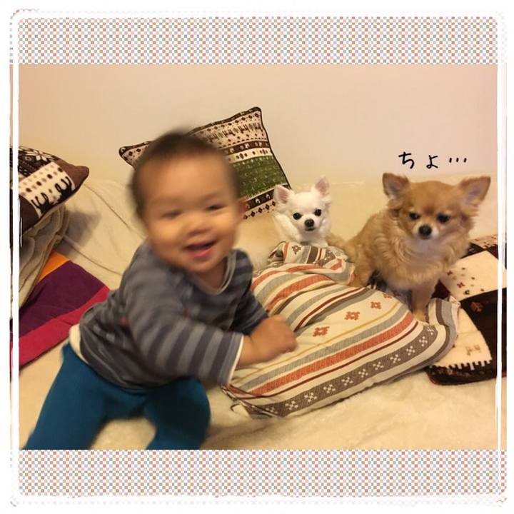 A0653f2b ab65 43fd a0ed 0e1fc1ed2fb5