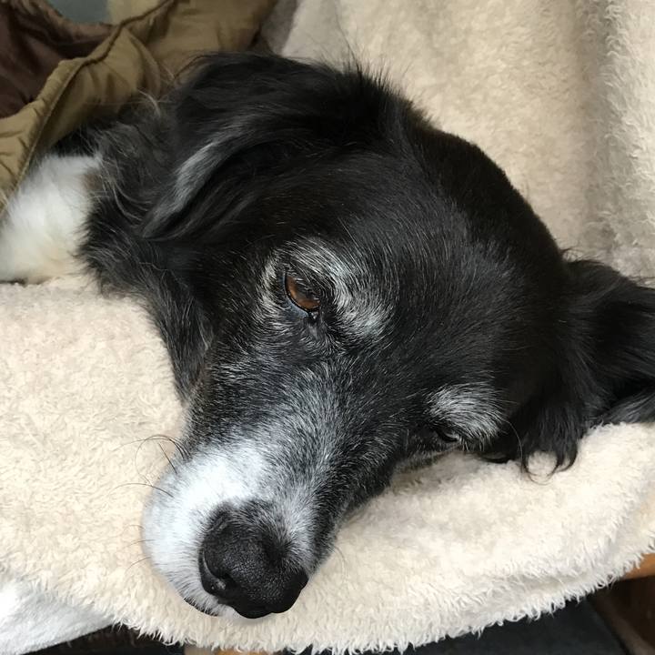 A0664697 af97 4424 9c3c 4e42e421666c