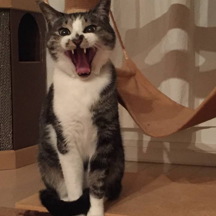 A066b34e 285c 46f6 992a 36c8f625fc3b