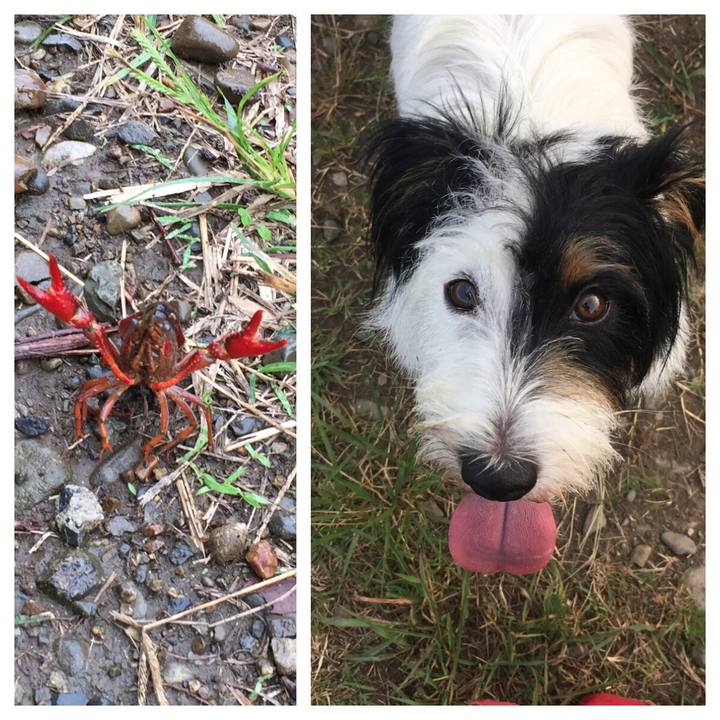 A066b645 4d45 4691 a220 d2767d13c0a0